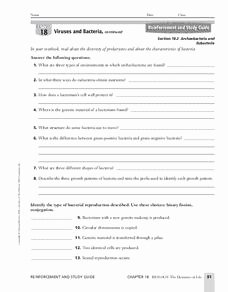 Characteristics Of Bacteria Worksheet Awesome Viruses and Bacteria Worksheet for 10th 11th Grade