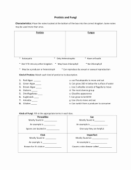 Characteristics Of Bacteria Worksheet Beautiful Protist Fungus Coloring Labeling with Answers