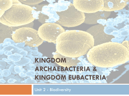Characteristics Of Bacteria Worksheet Best Of Worksheet Characteristics Of Bacteria Oise is
