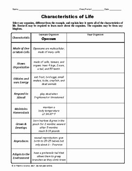 Characteristics Of Life Worksheet Answers Beautiful Characteristics Life Worksheet Worksheets for School