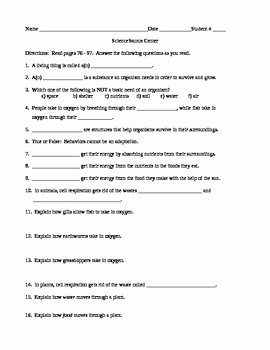 Characteristics Of Life Worksheet Answers Elegant Sciencesaurus &quot;characteristics Of Living Things&quot; by