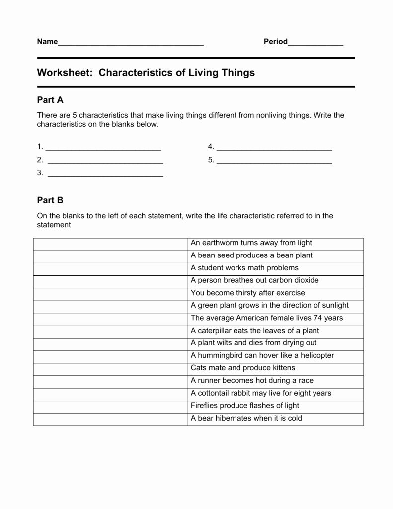 50 Characteristics Of Life Worksheet Answers