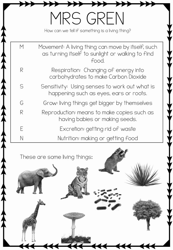 50 Characteristics Of Life Worksheet
