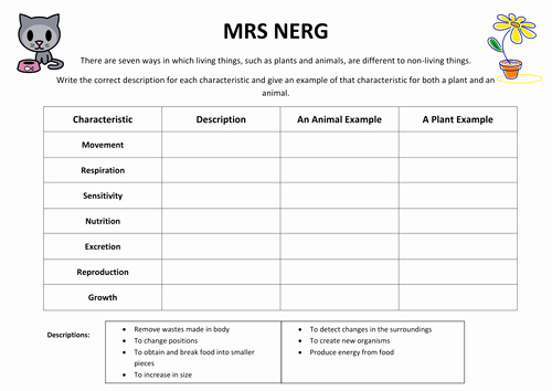 Characteristics Of Life Worksheet Lovely Mrs Gren Worksheet by Woffles92 Teaching Resources Tes