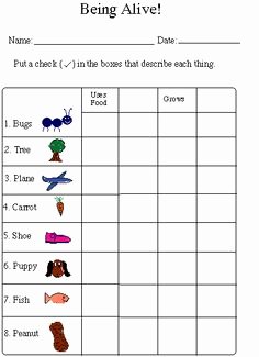 Characteristics Of Living Things Worksheet Unique 1000 Images About Living Things On Pinterest
