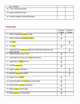 Chemical and Physical Change Worksheet New Physical and Chemical Changes Worksheet and Lab Activity