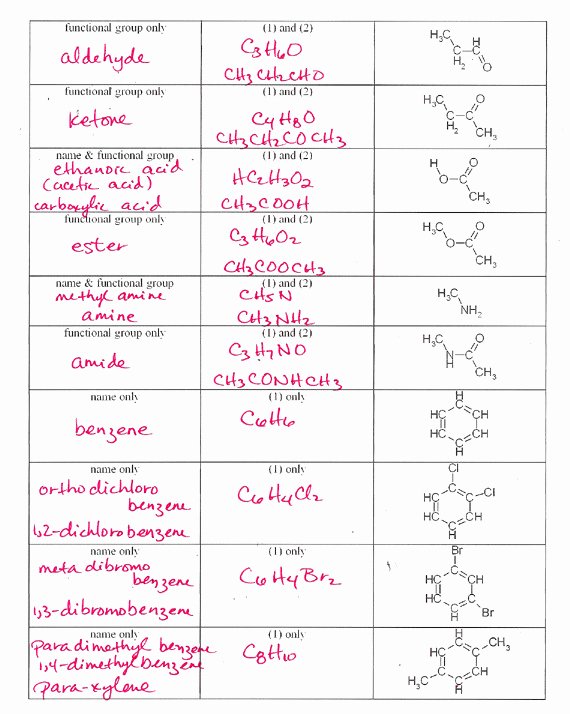 50 Chemical Bonding Worksheet Answer Key