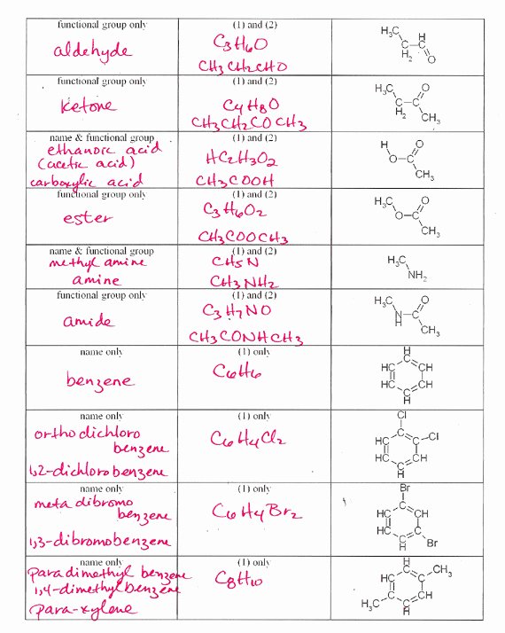 Chemical Bonding Worksheet Key Fresh Chemical Bonding Worksheet