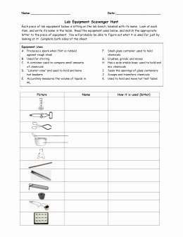 Chemistry Lab Equipment Worksheet Beautiful Lab Equipment Worksheet