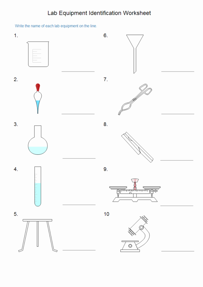Chemistry Lab Equipment Worksheet Best Of Lab Equipment Worksheet