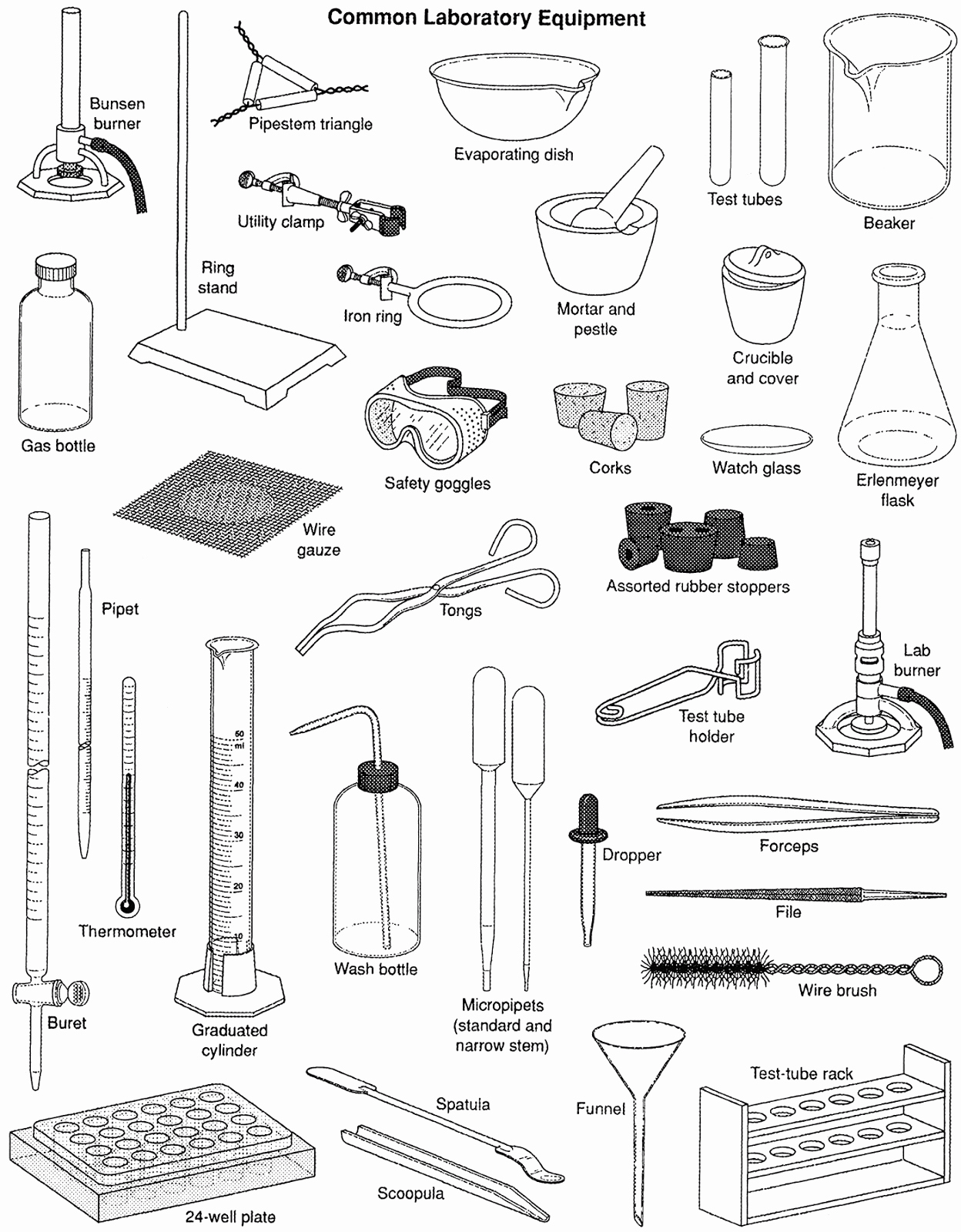 Chemistry Lab Equipment Worksheet Best Of Mr forde Life Science Review Mon Lab Equipment