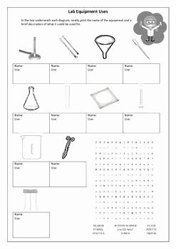 Chemistry Lab Equipment Worksheet Inspirational Best 25 Lab Equipment Ideas On Pinterest