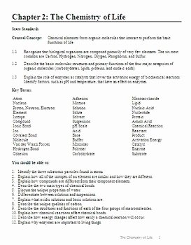 Chemistry Review Worksheet Answers Elegant Biology Chapter 2 Chemistry Of Life Chapter Guide with