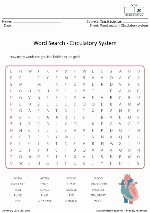 Circulatory System Worksheet Answers Beautiful Word Search Circulatory System