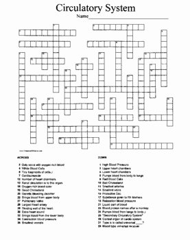 Circulatory System Worksheet Answers Best Of Crossword Puzzle Using Terms From the Circulatory System