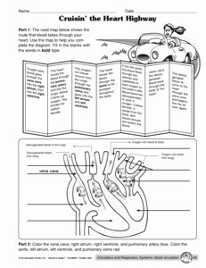 Circulatory System Worksheet Answers Elegant 8 Best Of Earth Interior Worksheet S Layers Of