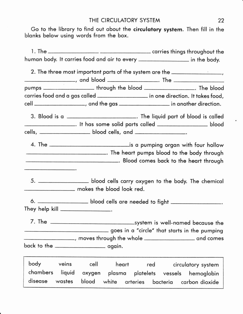 Circulatory System Worksheet Answers Luxury 14 Best Of Blank Fill In the Circulatory System