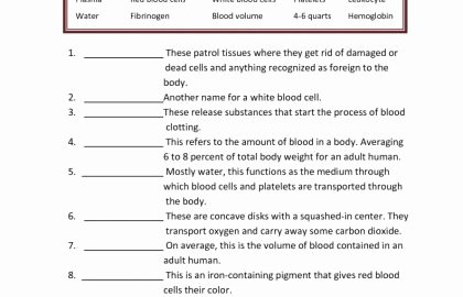 Circulatory System Worksheet Pdf Awesome How the Circulatory System Works
