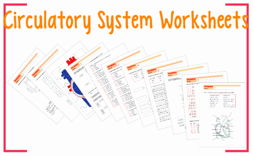 Circulatory System Worksheet Pdf Awesome Parts Of the Circulatory System Ks2 Lesson Plan and
