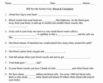 Circulatory System Worksheet Pdf Beautiful Bill Nye the Science Guy Worksheets Blood Vessels Bill