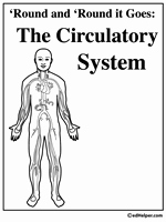 Circulatory System Worksheet Pdf Beautiful Free Circulatory System Worksheets