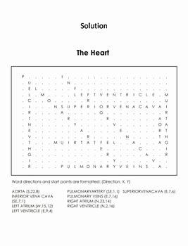 Circulatory System Worksheet Pdf Best Of Human Body Systems Word Search the Heart and Circulatory