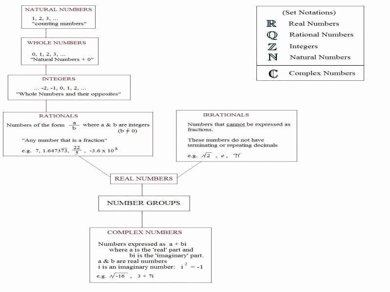 50 Classifying Real Numbers Worksheet