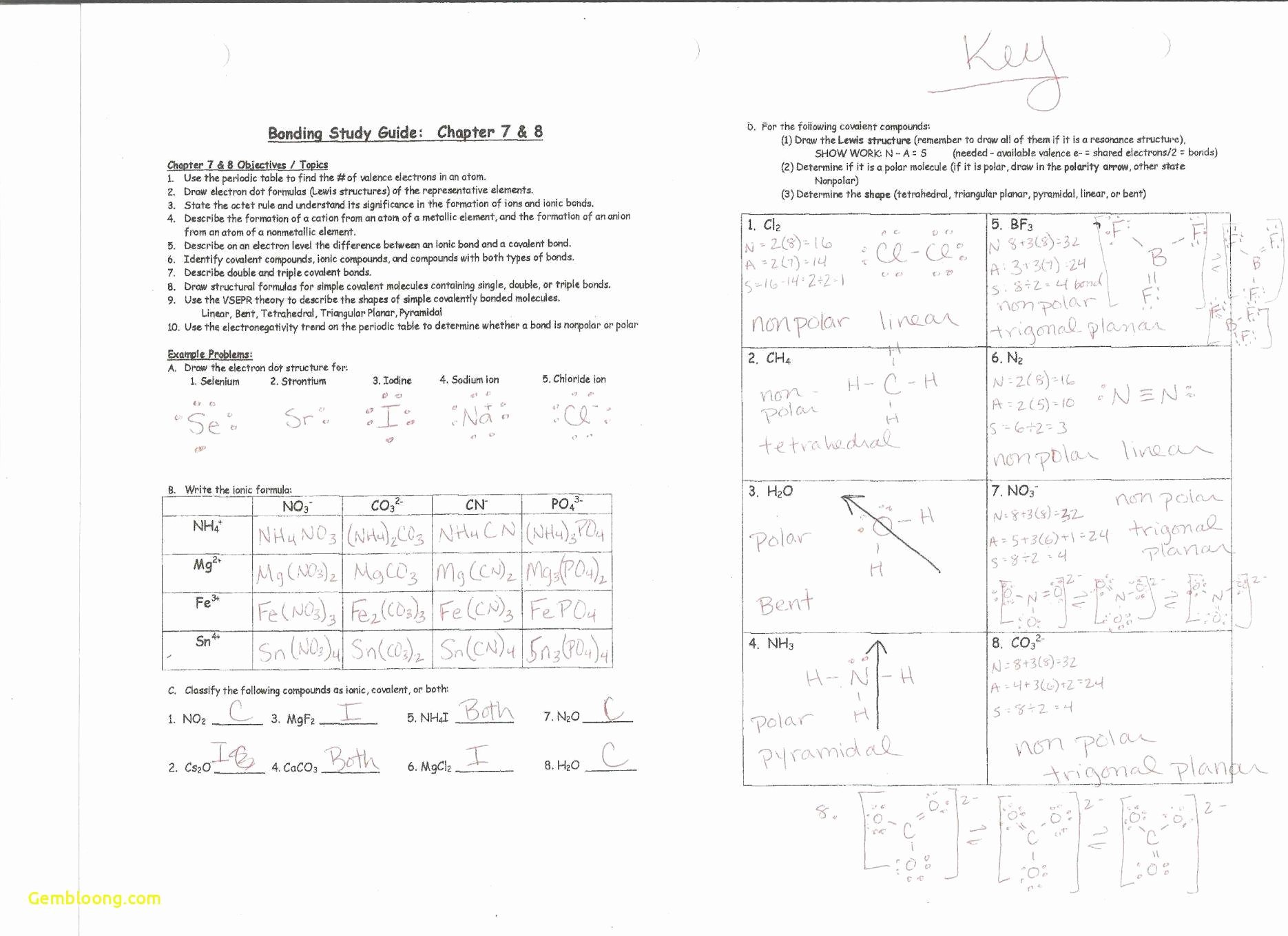 Classifying Real Numbers Worksheet New Chemical Quantities Worksheet Cramerforcongress