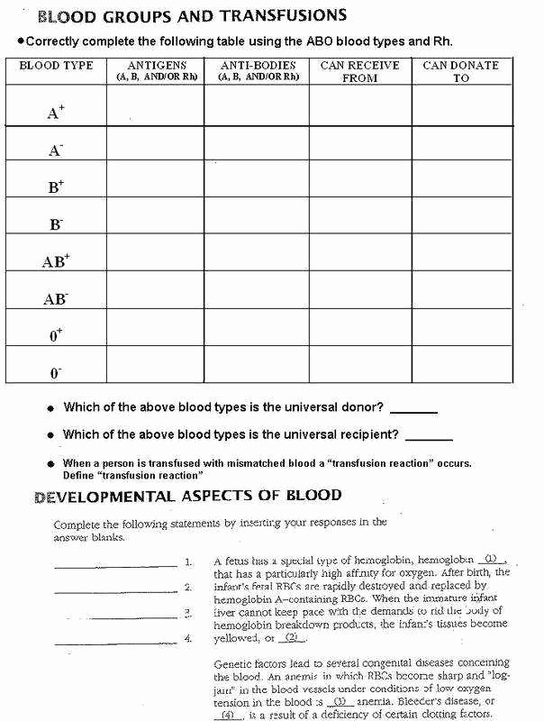 Codominance Worksheet Blood Types