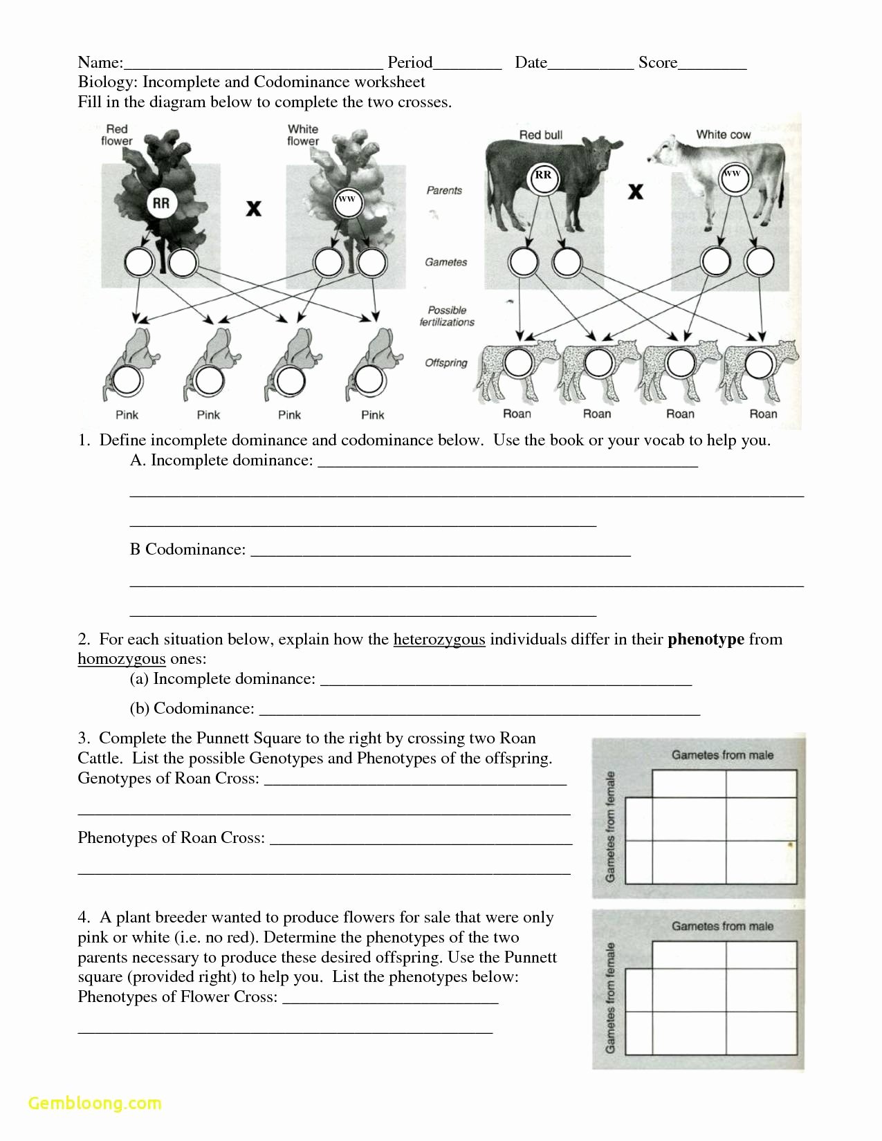 50 Codominance Worksheet Blood Types