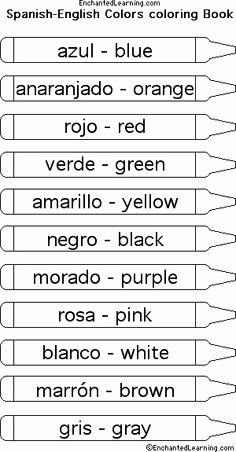 Colors In Spanish Worksheet New 15 Best Of Middle School Getting to Know You