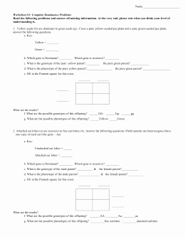 Completing the Square Practice Worksheet Beautiful Ch 11 Punnett Squares Notes