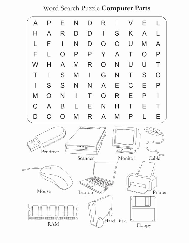 50 Computer Basics Worksheet Answer Key