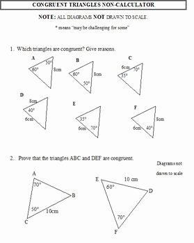 Congruent Triangles Worksheet Answers Fresh 23 Best Images About Congruent Triangles On Pinterest