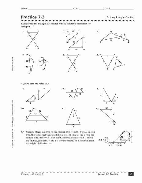 Congruent Triangles Worksheet with Answers Best Of Similar Triangles Worksheet