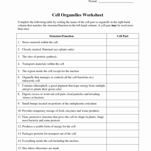 Conservation Of Energy Worksheet Answers Best Of Introduction to Energy Worksheet Funresearcher