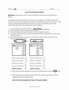 Conservation Of Mass Worksheet Beautiful Law Of Conservation Of Mass Worksheet by Science Notebook
