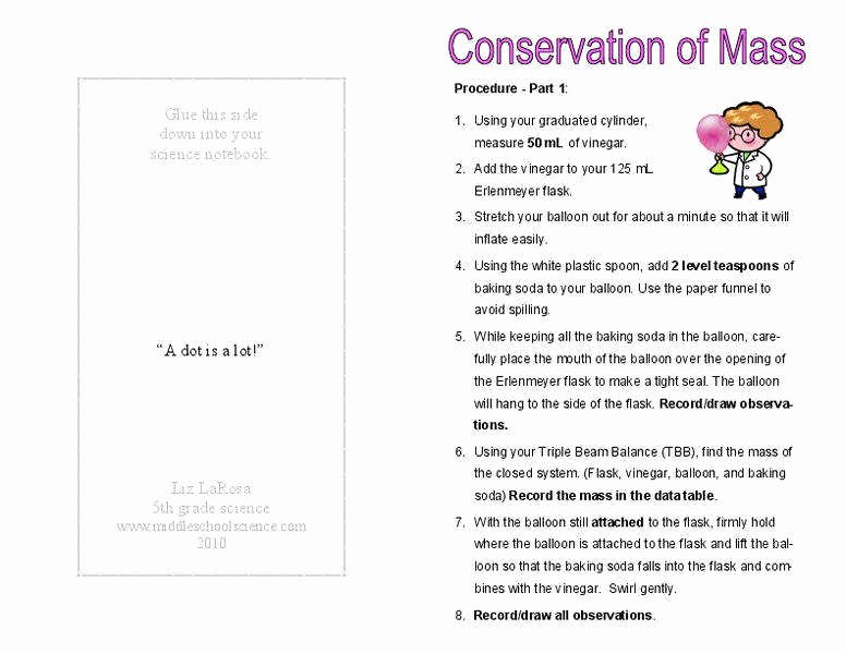 Conservation Of Mass Worksheet Lovely Conservation Mass Worksheet