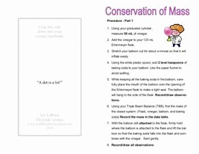 Conservation Of Mass Worksheet Lovely Conservation Of Mass 6th 8th Grade Worksheet