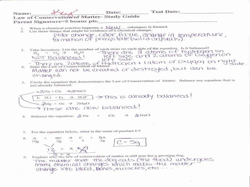Conservation Of Mass Worksheet Unique Law Conservation Mass Worksheet