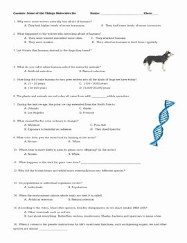 Cosmos Episode 1 Worksheet Answers Lovely Cosmos Episode 2 some Of the Things Molecules Do by Alisa