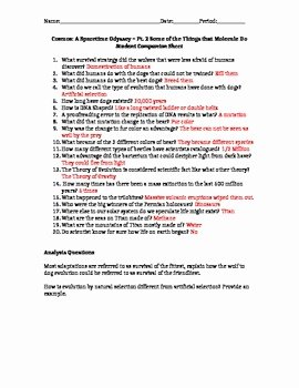 Cosmos Episode 1 Worksheet Answers Luxury Cosmos A Space Time Odyssey Part 2 Student Panion