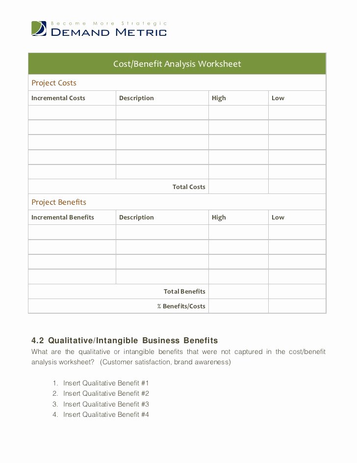 Cost Benefit Analysis Worksheet Luxury Business Case Template
