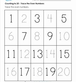 Counting to 20 Worksheet Fresh Counting to 20 Kindergarten Counting Worksheets