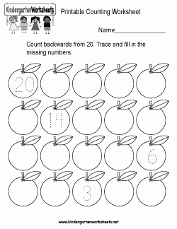 Counting to 20 Worksheet Luxury Free Kindergarten Counting Worksheets Conquering E Of