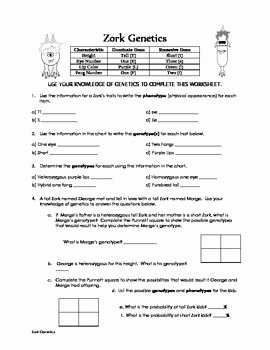 Cross Section Worksheet 7th Grade New Zorks Punnett Square Practice Wms