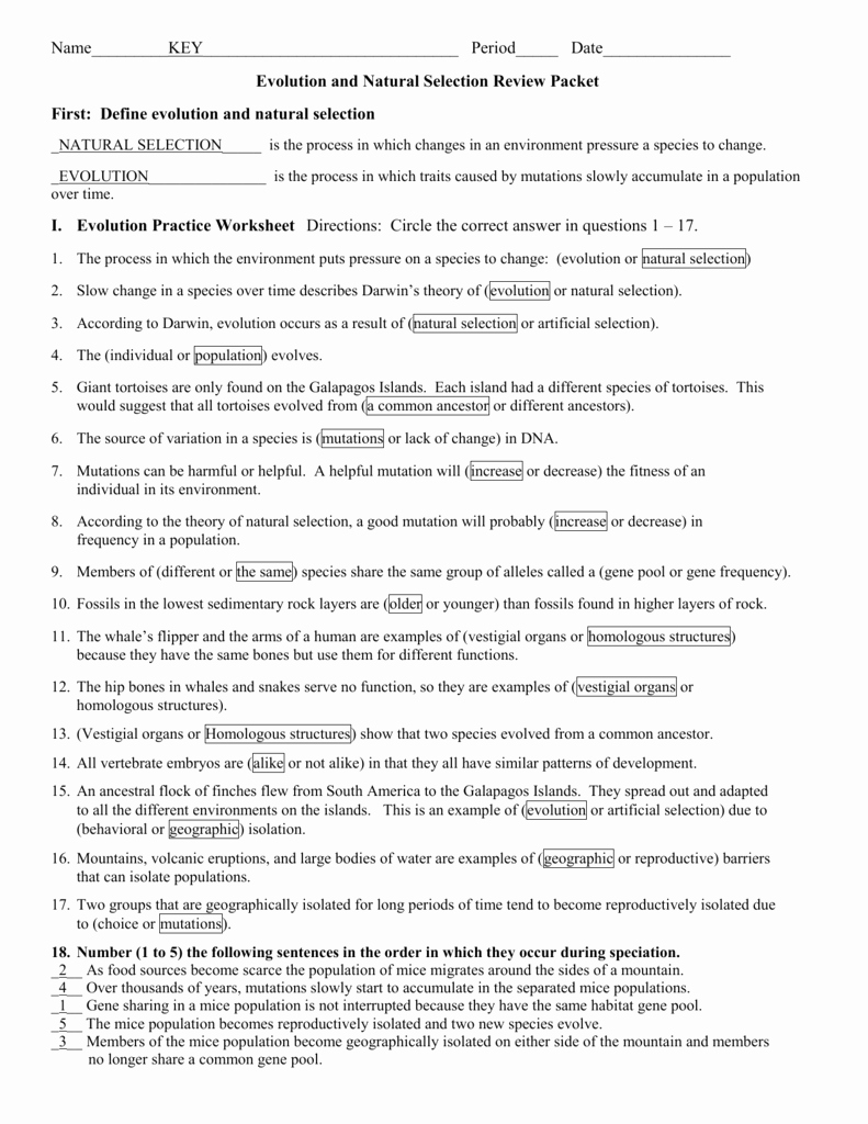 Darwin Natural Selection Worksheet Awesome Natural Selection and Peppered Moths