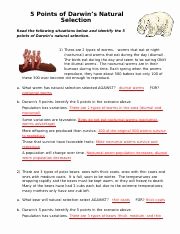 Darwin Natural Selection Worksheet Best Of 5 Points Of Natural Selection Answer Key 5 Points Of