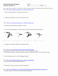 Darwin Natural Selection Worksheet Unique Studylib Essys Homework Help Flashcards Research