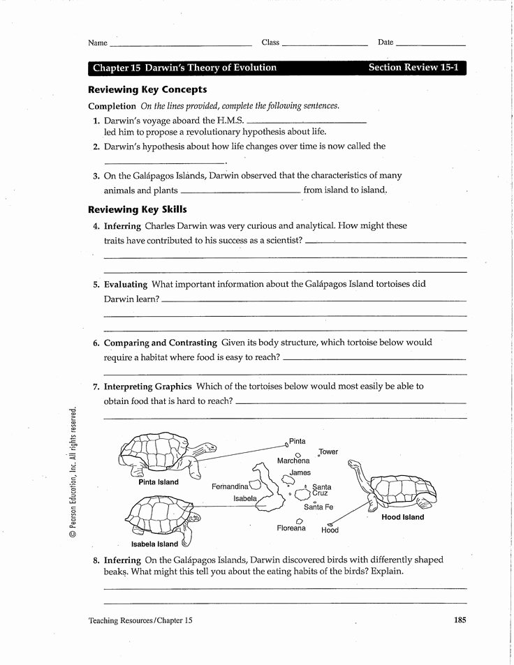Darwin&amp;#039;s Natural Selection Worksheet Answers Awesome Darwin S theory Of Evolution Worksheet